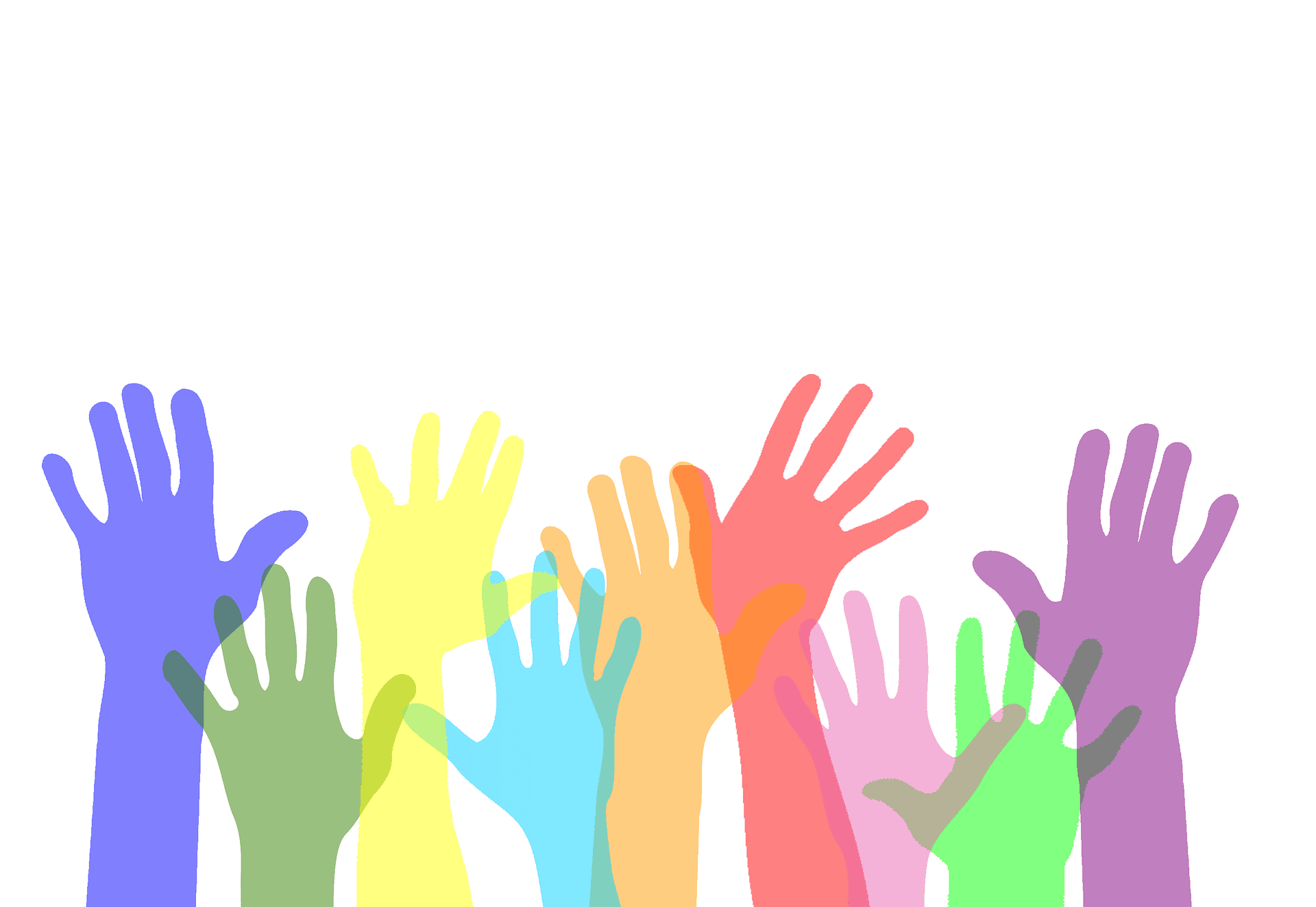 Volunteer Bild